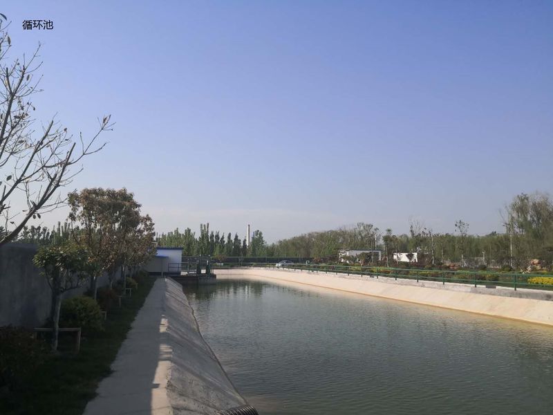 จีน Shandong Xingshun New Material Co., Ltd. รูปแบบของบริษัท 